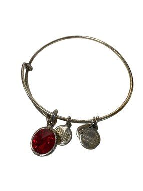 Alex And Ani Silver-Tone Charm Bangle Bracelet Red Crystal Accent Dainty